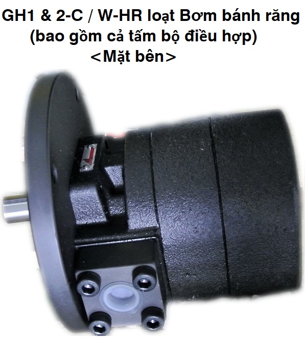 GH1 & 2-C / W-HR loạt Bơm bánh răng (bao gồm cả tấm bộ điều hợp) 2